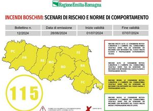giallo 24