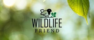 wildlife wildlife